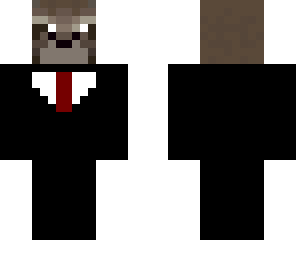 racoon