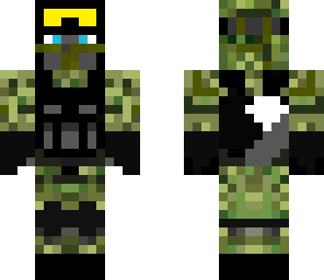 military cat