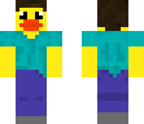 duck stee