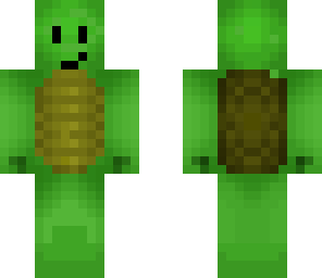 cute turtle