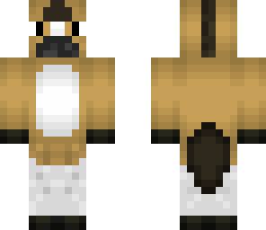 horse 2 face