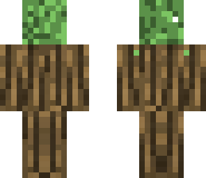 sapling