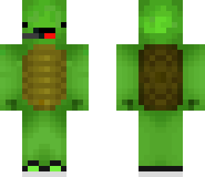 turtle with shoes