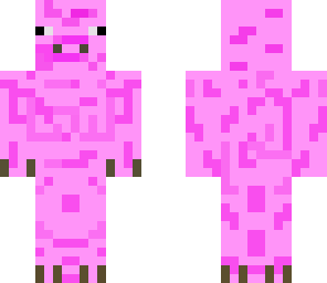 pig