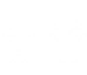 blank