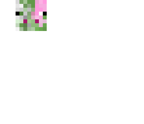 pigman face