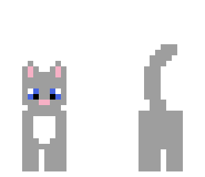 cute little kitty