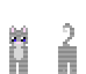 cute gray cat