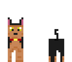 german sheperd