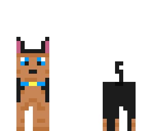 puppy