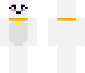 bichon frise
