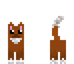 fluffy brown cat