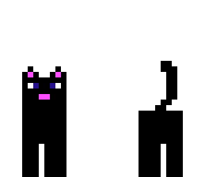 black cat