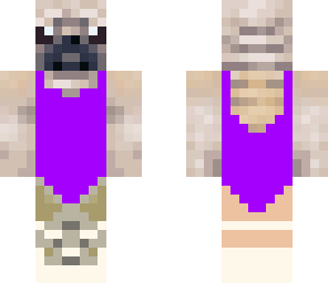 pug