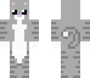 kitten