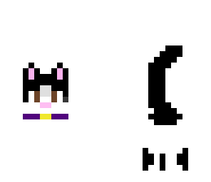 black and white cat