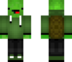 rainbow turtle teen