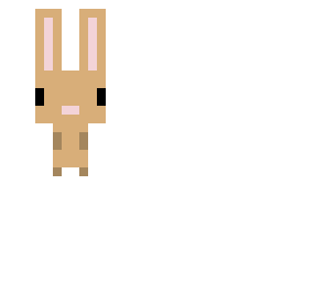 cute bunny