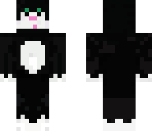 back and white cat