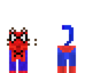 spider cat