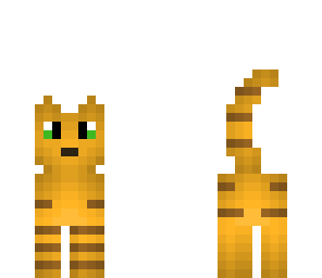 cute cat