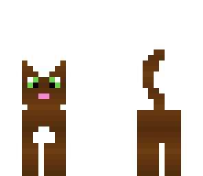 cocoa