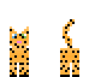 cheetah
