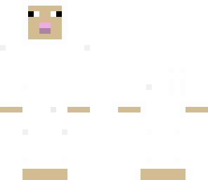 sheep