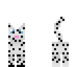 snow leopard