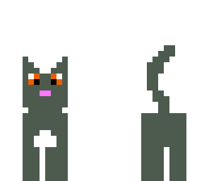grey kitty