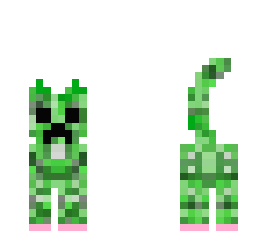 creeper cat