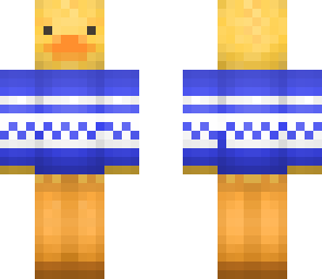 blue sweater duck