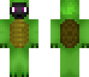 turtle guy