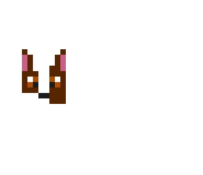 cute dog