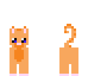 the_orange_cat_2