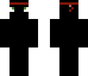 ninja derp