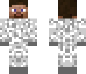 arctic steve