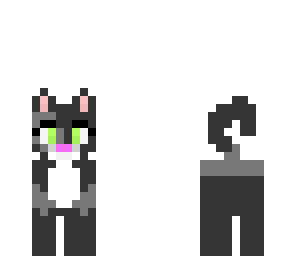 edited cute cat