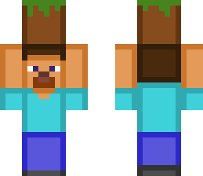 steve