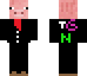 vidpig v2