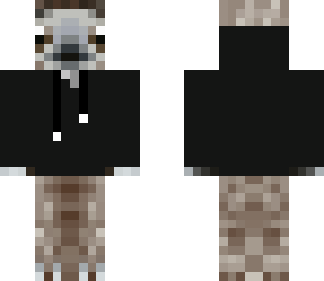sloth