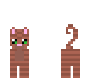 brown cute cat