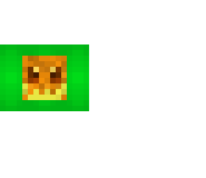 the flag of skindex