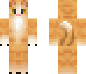 wariror cat