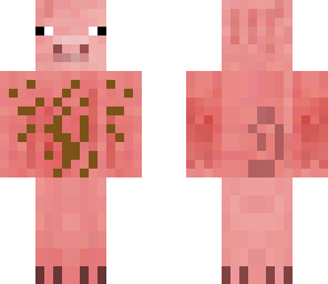 pig
