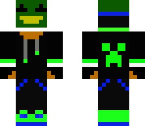 a mallard