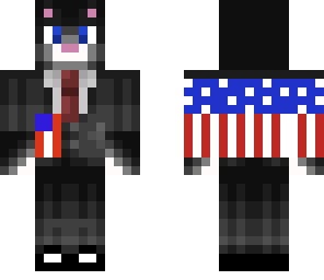 a very patriotic cat