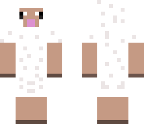 sheep