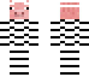 zeb pig
