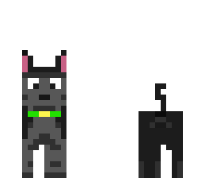 rotwailer dog rotwailer perro